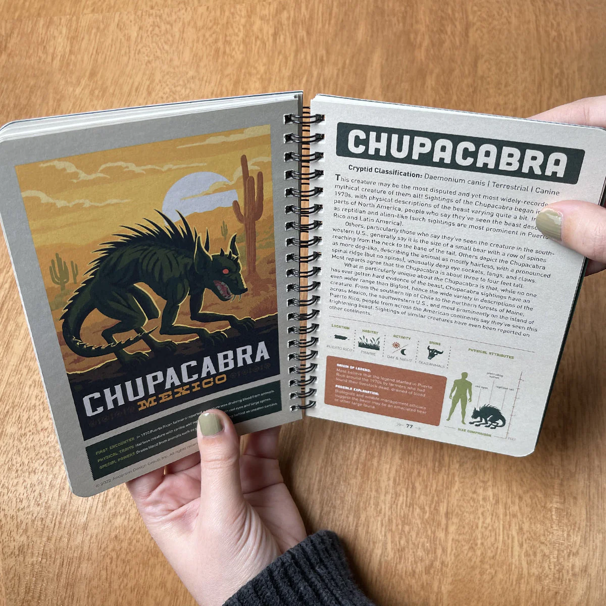 Product image 11
